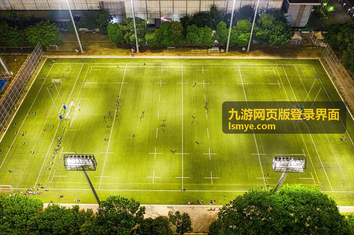 九游网页版登录界面的账号验证环节示意